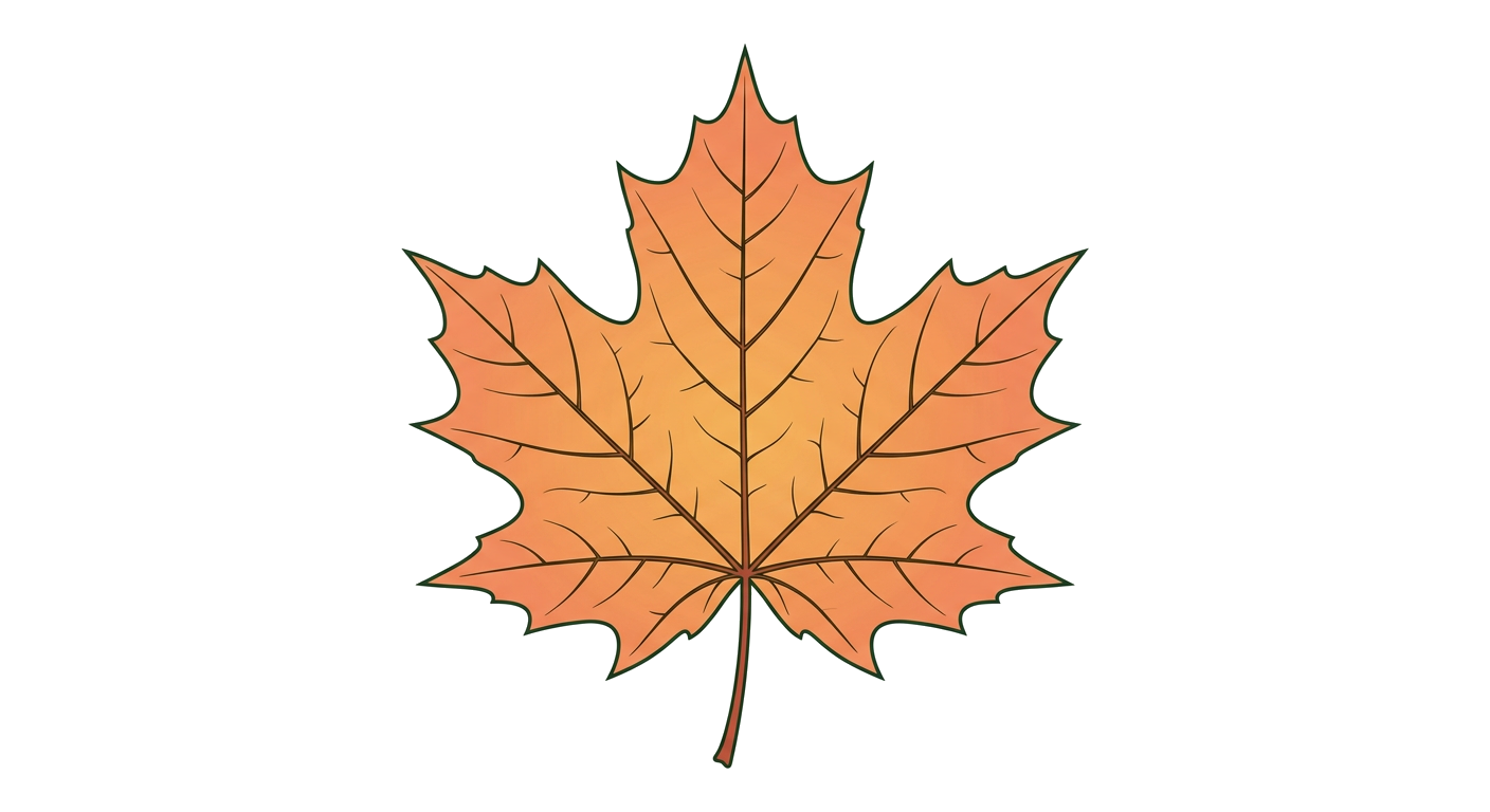 Maple leaf